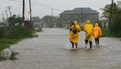   -    735  ա    ɔ         .