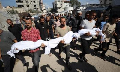   -             2023  69  546  170  833 