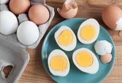 المؤتمر نت - ماذا يحدث لضغط الدم عند تناول البيض؟