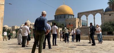 المؤتمر نت -