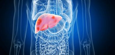 المؤتمر نت -